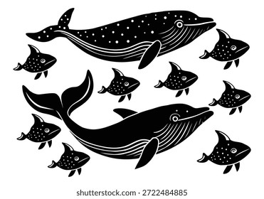 Two Large Black and White Whales with Smaller Fish Surrounding Them marine life ocean