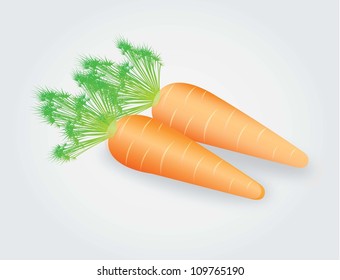 Two large carrots over white background