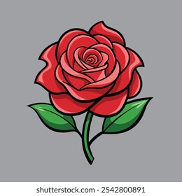 Two large, fragrant, red roses together on white background.