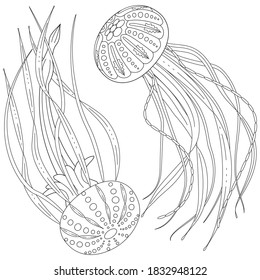 Two large Jellyfish black and white vector illustration