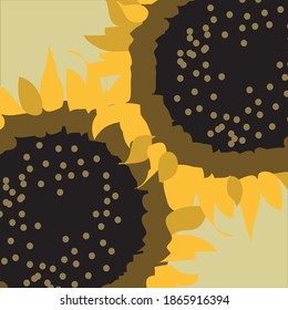 zwei große Sonnenblumenhintergründe. Naturgrafik.