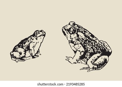 Two large toads sitting opposite each other
