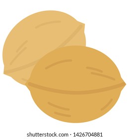 Two large walnut shells  (white background)