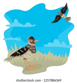 Two lark, flying on the sky, stand on the grass, blue sky on the background and green grass. Vector characters of birds.
