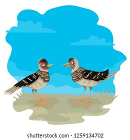 Two lark stand on the grass, blue sky on the background, vector characters of birds.