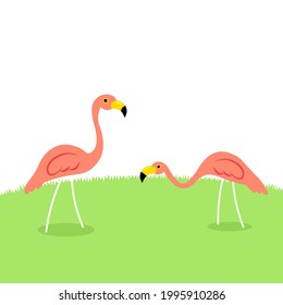 Two Lawn flamingo illustration. Clipart image isolated on white background