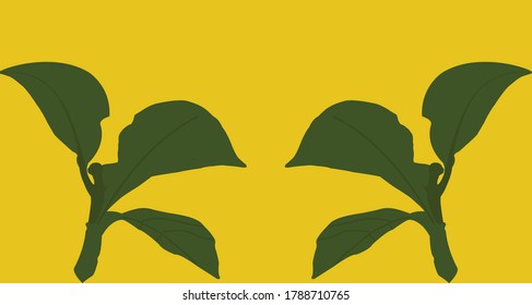 two leaf brunch on yellow background 
