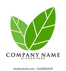 Two leaf illustration vector logo