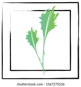 Two leaf stems with beautiful black frames. White background. Green leaf.