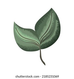 two leafs plant nature icon