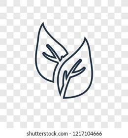 Two leaves concept vector linear icon isolated on transparent background, Two leaves concept transparency concept in outline style