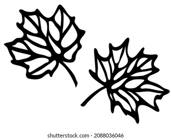 Two leaves for cutting on a white background