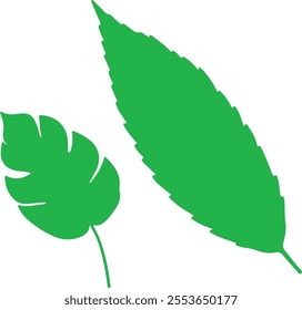 Two leaves, two different shapes, one beautiful color.