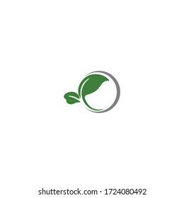 two leaves grow in a curved branch