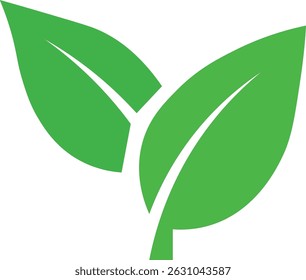 Ícone de duas folhas. Ícone de folha com duas folhas. Símbolo de folha. Ícone de duas folhas. Logotipo ecológico verde

