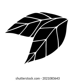 Silueta de dos hojas.  Diseño gráfico vectorial simple y plano. Ilustración vectorial aislada en blanco.