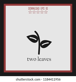 two leaves vector icon