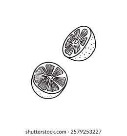 Two lemon half in black isolated on white background. Hand drawn vector sketch illustration in doodle engraved vintage line art style. Concept of tasty citrus fruit, juice, package design, ingredient