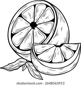 Two lemons with leaves. Whole citrus fruit and cross-section slice. Hand-drawn black and white illustration in vintage engraving style. Fresh and organic food sketch. Clean outline for packaging, menu