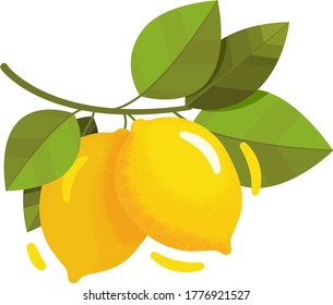 two lemons on a branch with a painted texture