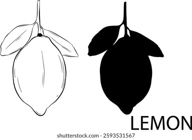two lemons vector illustration and silhouette on white background