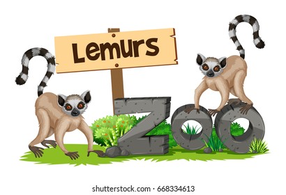 Two lemurs in the zoo illustration