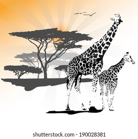 Two leopards lying on the savanna with tree in the background, vector illustration