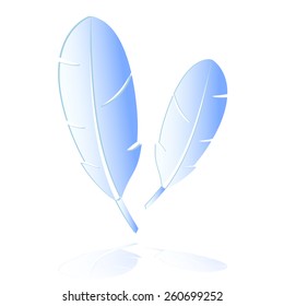 two light blue feathers symbols reflection eps10