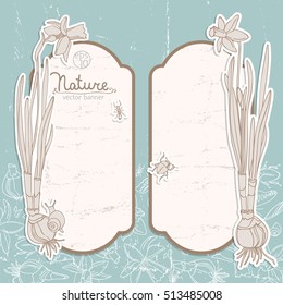 Two light blue romantic spring daffodils banner set or template for invitation with space for text vector illustration