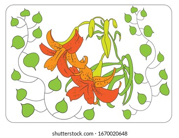Two lilies flowers coloured in red and orange colours with green stem surrounded by two branches with green leaves.