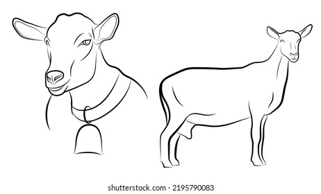 Two linear images of a goat.