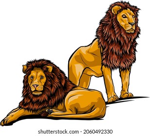 two lion. Vector illustration isolated on the white background