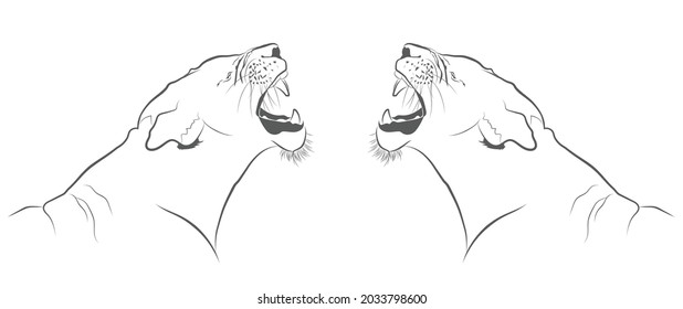Lioness line Images, Stock Photos & Vectors | Shutterstock