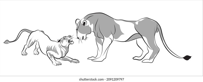 Two lioness fighting vector image, An illustration of predators, Line art of big cats