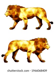 two lions, isolated color image on a white background in the low poly style