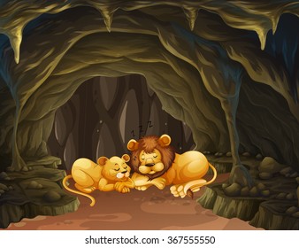 Two lions sleeping in the cave illustration