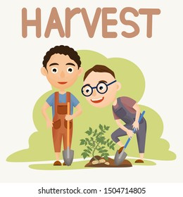 Two little boys in a work overalls is digging potatoes. Children harvest vegetables. Harvest. Farming and agriculture. People doing farming job. Vector illustration of kids