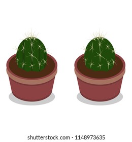 Two little cactuses in flowerpots. Icon of cactus. Houseplant. Vector