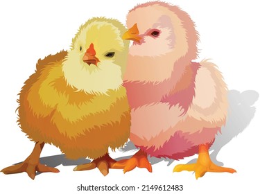 Two little chicklings hugging them selves passionately
