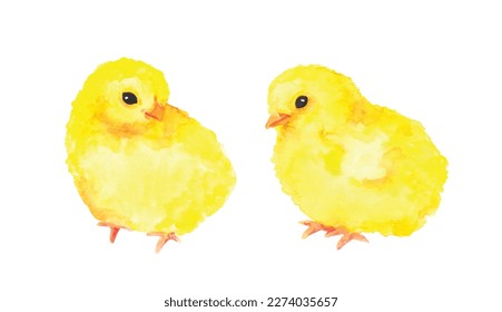 Dos pequeñas chicas. Pequeño y lindo pájaro recién nacido. Elemento vector de acuarela dibujado a mano para el diseño de Semana Santa