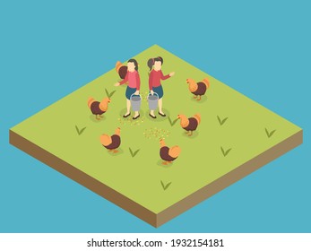 Two little girls feeding chicken at the farmland. Isometric vector concept