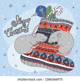 Two little gray rats are sleeping on a Christmas sock on a blue background.