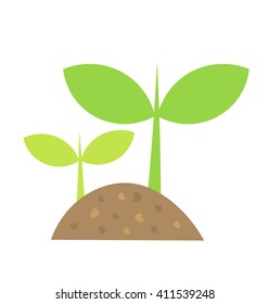 Two little plants growing in soil. Vector illustration