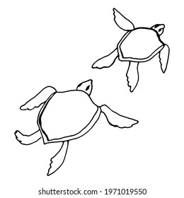 Two little turtles black outlines vector EPS