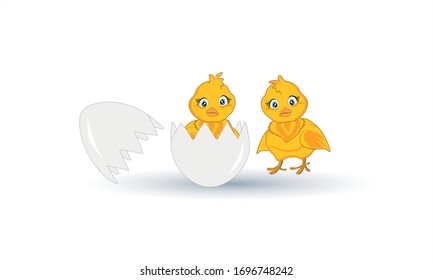 Two little yellow chicks on a white background. Vector illustration