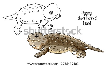 Two lizards with rounded bodies and short tails. Their skin is covered with spines, especially noticeable along the edges of their bodies. Their coloring is gray-brown with a spotted pattern.