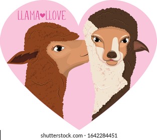 Two llamas are kissing in heart. Vector illustration isolated on white background.