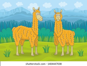 Two llamas in mountain meadow. Funny cartoon and vector illustration