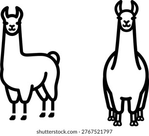 Two llamas standing side by side in simple line art style on white background