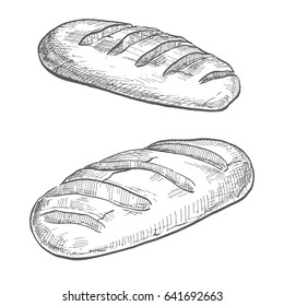 Two loaves isolated on white background. Vector illustration of a sketch style.